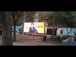 seo in guk/so in guk/-advertising support in osaka from the sunflowers team 11/15/23.